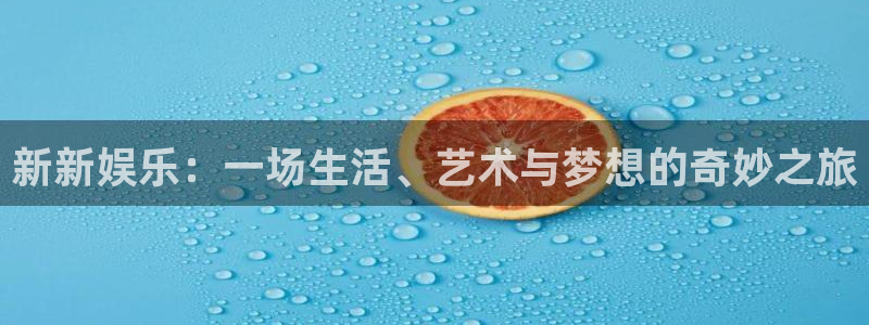 焦点娱乐登录地址：新新娱乐：一场生活、艺术与梦想的奇妙之旅