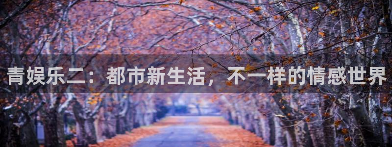 焦点娱乐：青娱乐二：都市新生活，不一样的情感世界